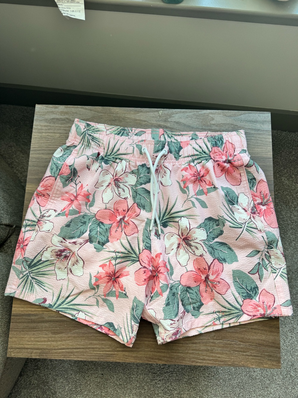Men’s Swim Shorts Hollister